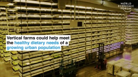 horticulture commercial farming